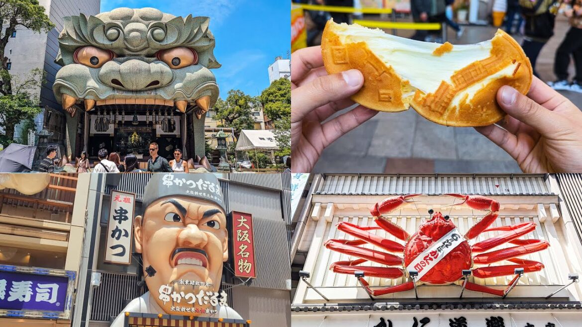 An Afternoon in Osaka! CC available