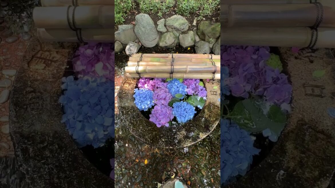 Hotel Chinzanso in #Bunkyo has one of the most beautiful #japanesegardens in #tokyo Hotel Chinzanso in #Bunkyo has one of the most beautiful #japanesegardens in #tokyo