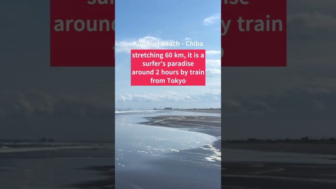 Top Beaches Near Tokyo You Need to Visit! 🌞🌊