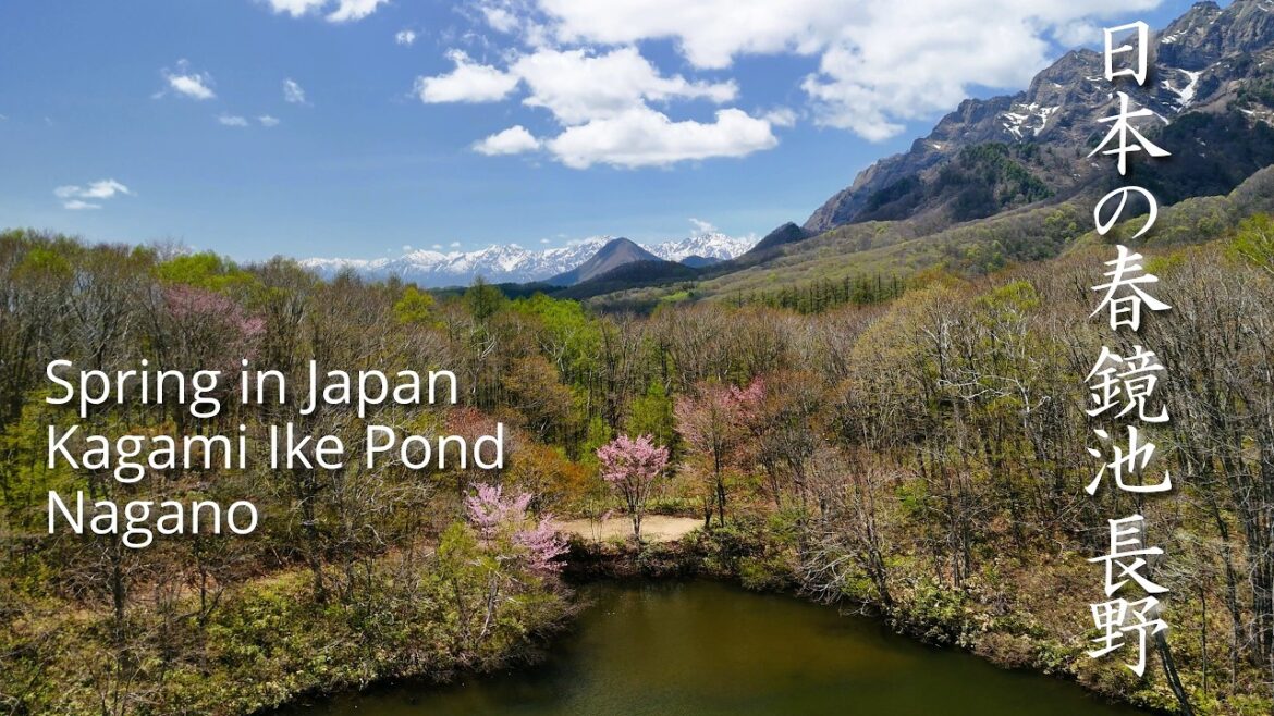 Amazing Spring in Japan – Kagami Ike Pond, Nagano (4K) 日本の素晴らしい春 – 長野県鏡池 Amazing Spring in Japan - Kagami Ike Pond, Nagano (4K) 日本の素晴らしい春 - 長野県鏡池