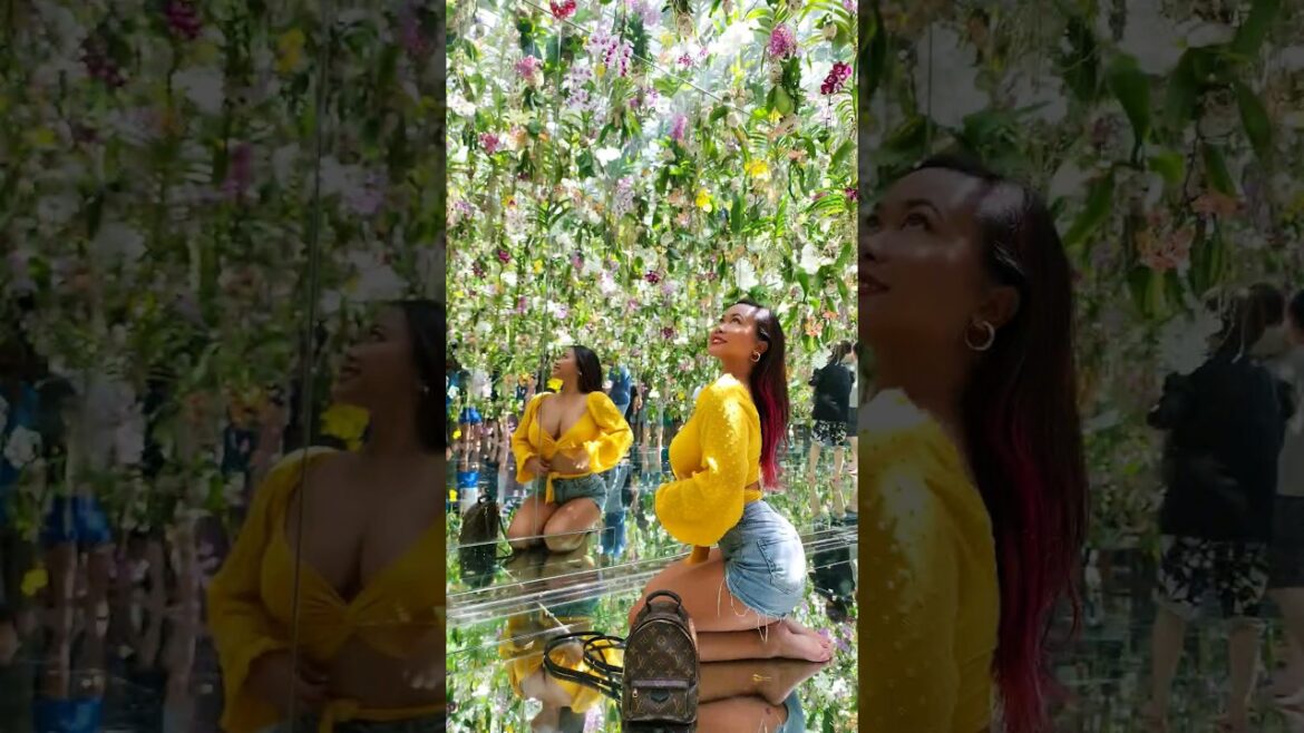 What to expect inside TeamLab ⭐️ Planets TOKYO #teamlabplanets #digitalart