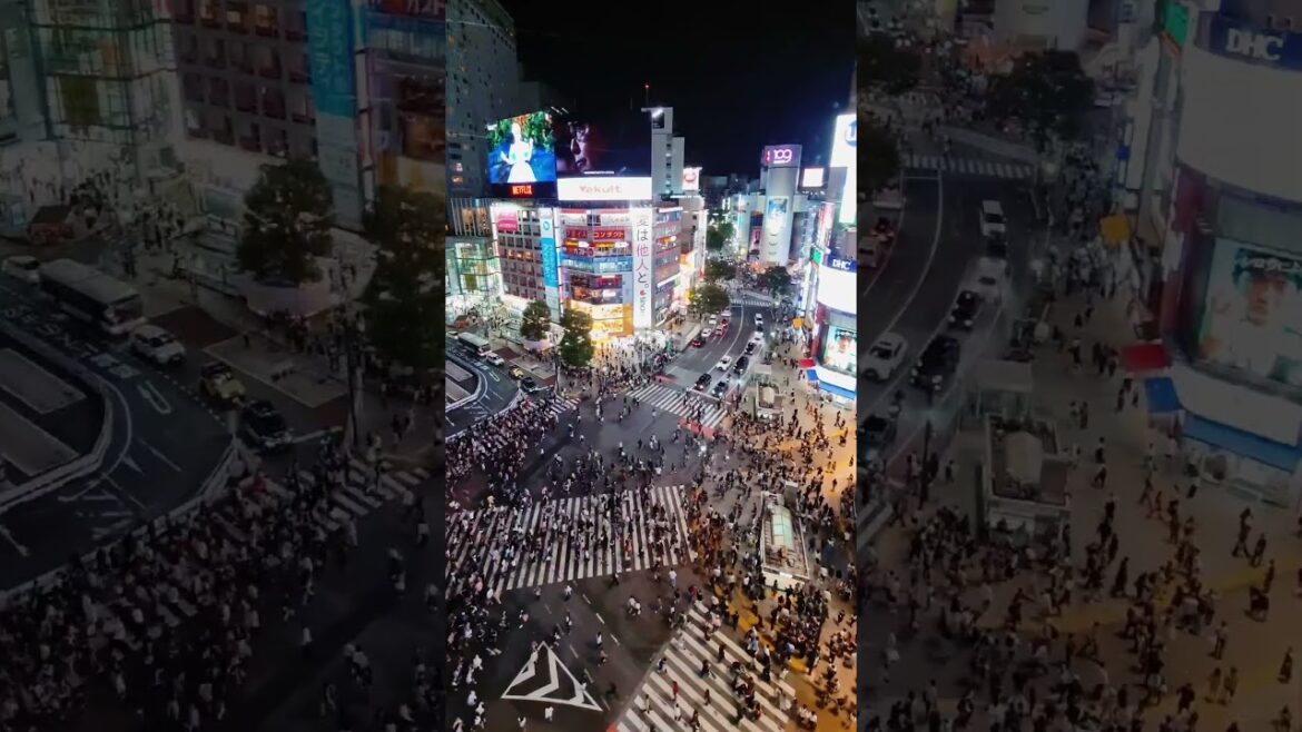 Shibuya Crossing: Discover the heartbeat of Tokyo in seconds! #japan #shibuyacrossing #travel