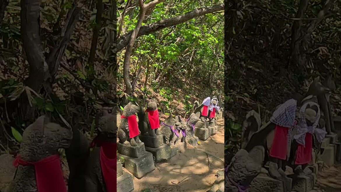 Oinari sama. Takayamainari Aomori walk tour. 【4K】5.2024