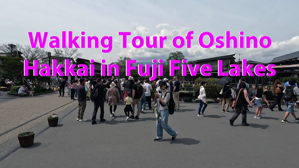 Walking Tour of Oshino Hakkai 忍野八海 in Fuji Five Lakes