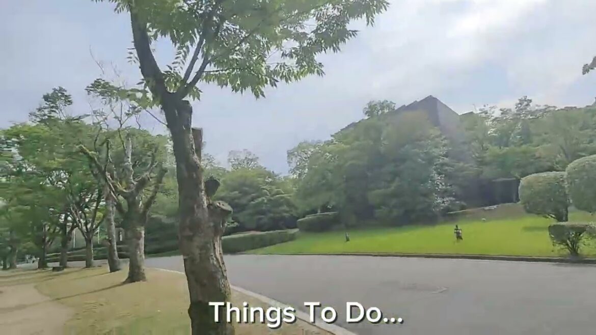 THINGS TO DO IN KUMAMOTO CITY (CITY TOUR TRAVEL ALONE)