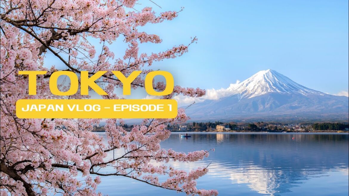 Kyoto Japan - 🇯🇵  The Most beautiful Tourist  destinations  (Japan)  || Travel Guide & Tips