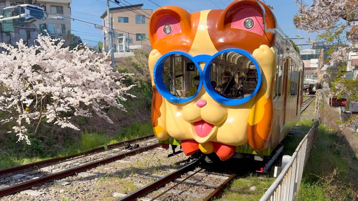 Riding Japan’s Unique Cable Car shaped like Cats and Dogs ๐บ๐ถ๐ค๏ธ Riding Japan's Unique Cable Car shaped like Cats and Dogs ๐บ๐ถ๐ค๏ธ