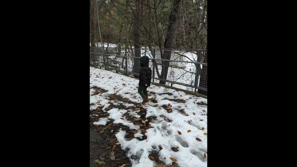 Wandering Trip Around Aomori Contemporary Art Centre #trending #shorts #travel Wandering Trip Around Aomori Contemporary Art Centre #trending #shorts #travel