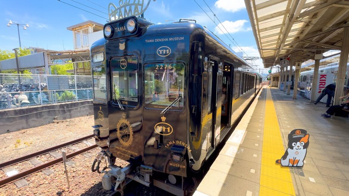 Japan’s First Cat Stationmaster! Riding the Luxurious Cat Museum Train πΒ π€οΈ Tama Train Japan's First Cat Stationmaster! Riding the Luxurious Cat Museum Train πΒ π€οΈ Tama Train