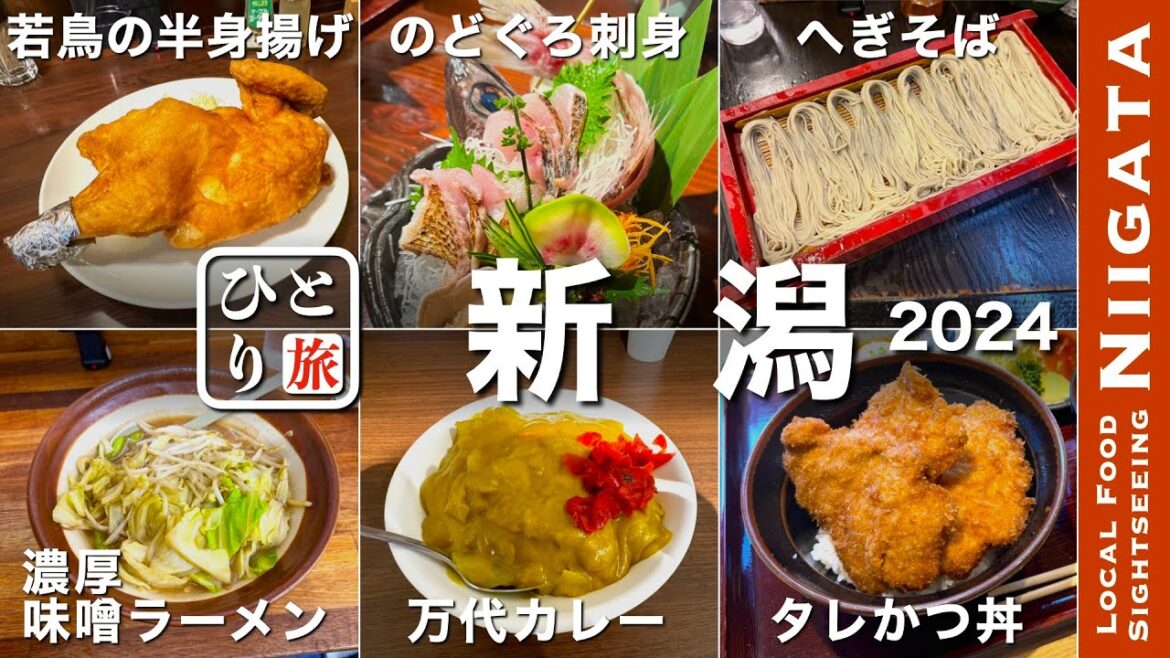 【新潟グルメ2024｜ひとり旅】タレかつ丼・万代カレー・へぎそば・回転寿司・濃厚味噌ラーメン・新潟の名物グルメを食す動画【新潟・新潟グルメ・ひとり旅・Niigata・Trip】