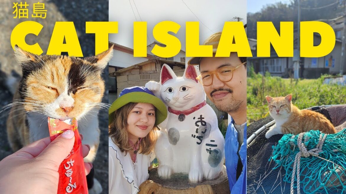 Japan’s Cat Island 🇯🇵 Fukuoka’s Cat Heaven, Ainoshima Island, 猫島, Japan Travel Vlog 2024 Japan's Cat Island 🇯🇵 Fukuoka's Cat Heaven, Ainoshima Island, 猫島, Japan Travel Vlog 2024