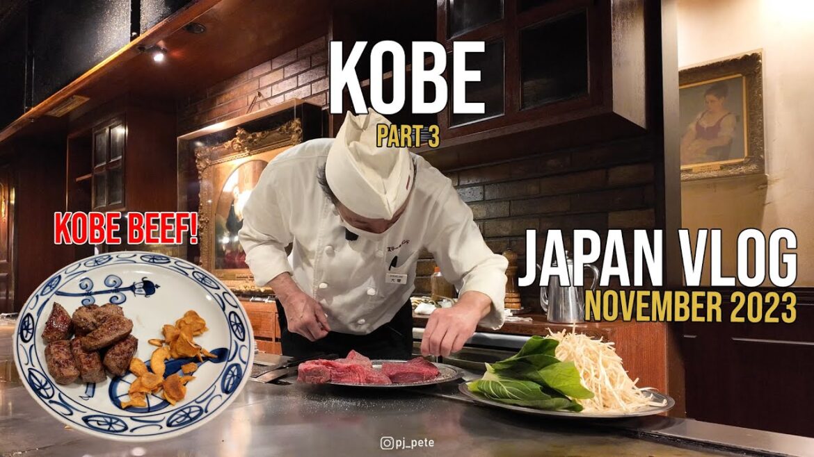 KOBE vlog part 3 | Nyobain Kobe Beef untuk pertama kalinya