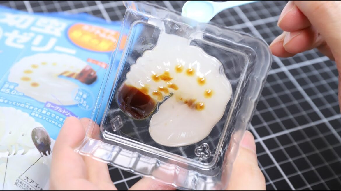 Edible Beetle Larvae Making Kit DIY Candy Japan Souvenir