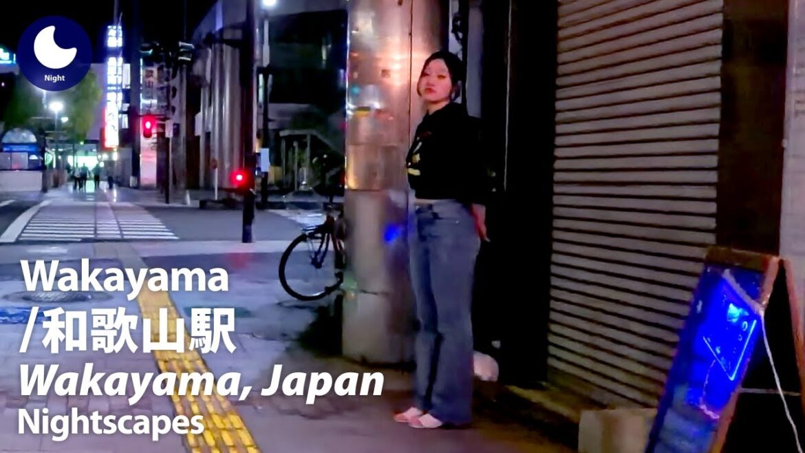 ⁴ᴷ Wakayama: Wakayama Station (和歌山県: 和歌山駅) - Japan Walking Tour (June, 2024)