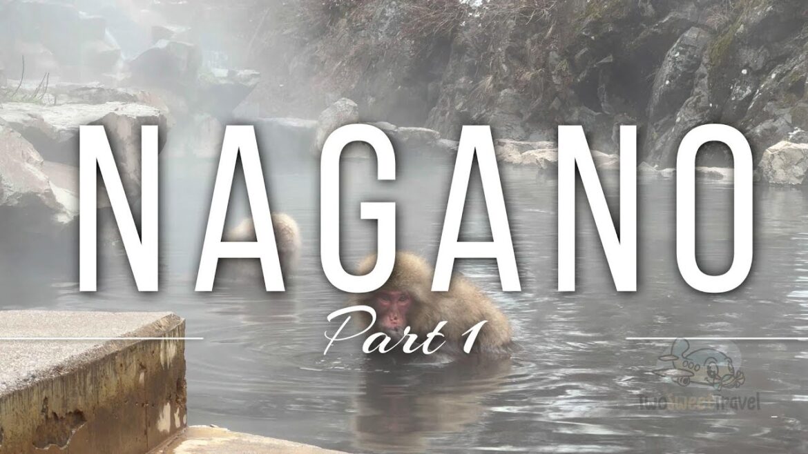 Nagano 长野县 Japan Vlog Part 1 | Jigokudani Monkey Park 🐒❄️, Enza Cafe, Zenkoji Temple, Kappa Sushi 🍣