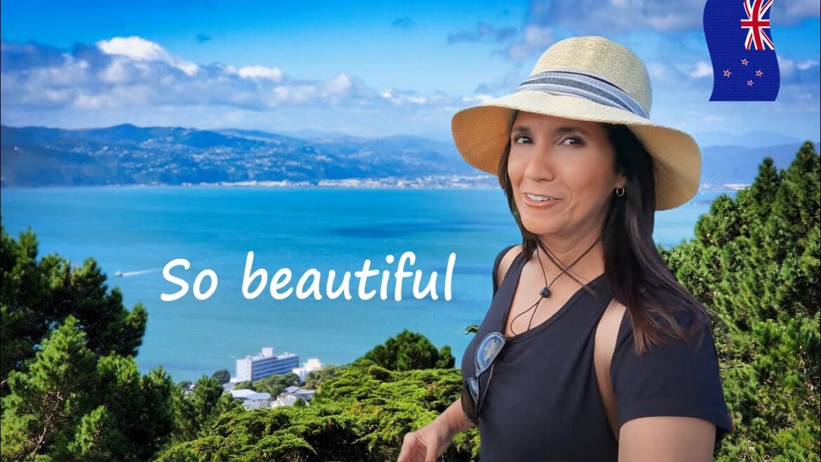 Is this New Zealand's coolest city? Wellington (vlog 3)