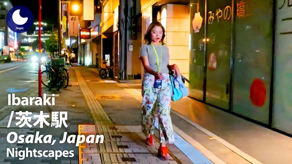 ⁴ᴷ Osaka: Ibaraki Station (大阪府: 茨木駅) – Japan Walking Tour (June, 2024) ⁴ᴷ Osaka: Ibaraki Station (大阪府: 茨木駅) - Japan Walking Tour (June, 2024)