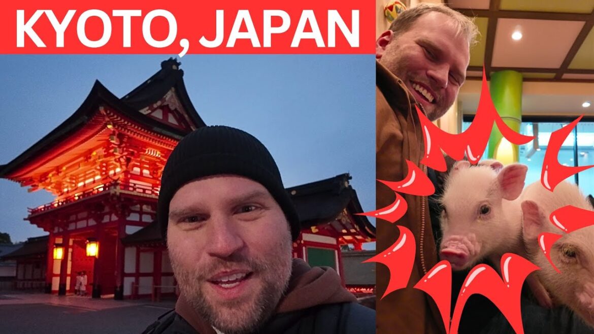 Kyoto Japan: the new, the old, and the adorable! ππ―π΅ Kyoto Japan: the new, the old, and the adorable! ππ―π΅