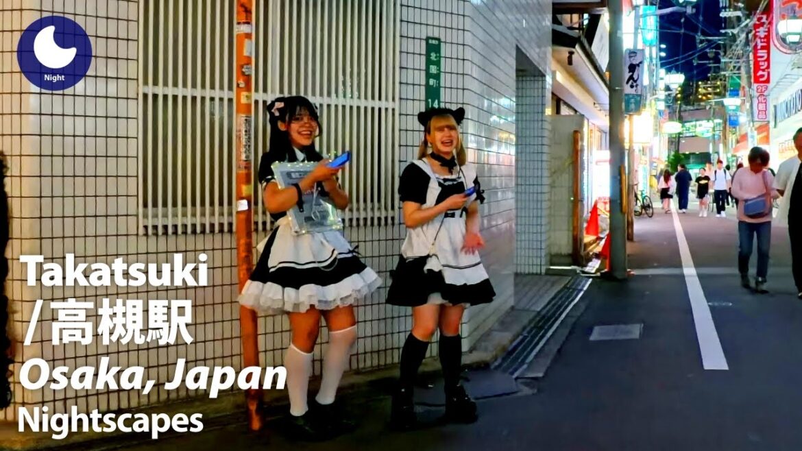 ⁴ᴷ Osaka: Takatsuki Station (大阪府: 高槻駅) – Japan Walking Tour (June, 2024) ⁴ᴷ Osaka: Takatsuki Station (大阪府: 高槻駅) - Japan Walking Tour (June, 2024)
