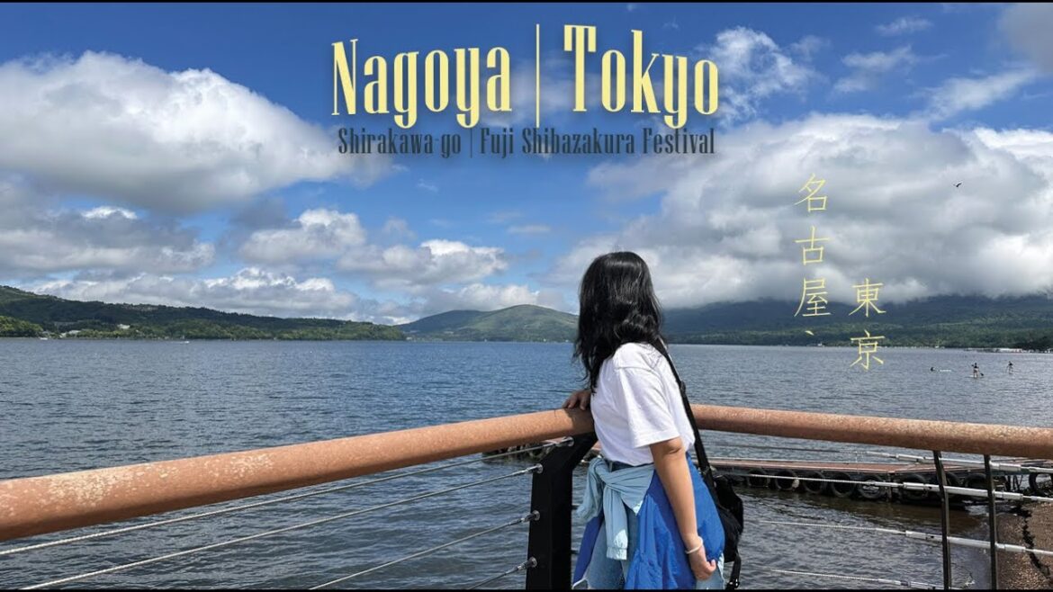 Nagoya to Tokyo | Day Trips to Shirakawago & Fuji Shibazakura Festival | Japan Travel Vlog Nagoya to Tokyo | Day Trips to Shirakawago & Fuji Shibazakura Festival | Japan Travel Vlog