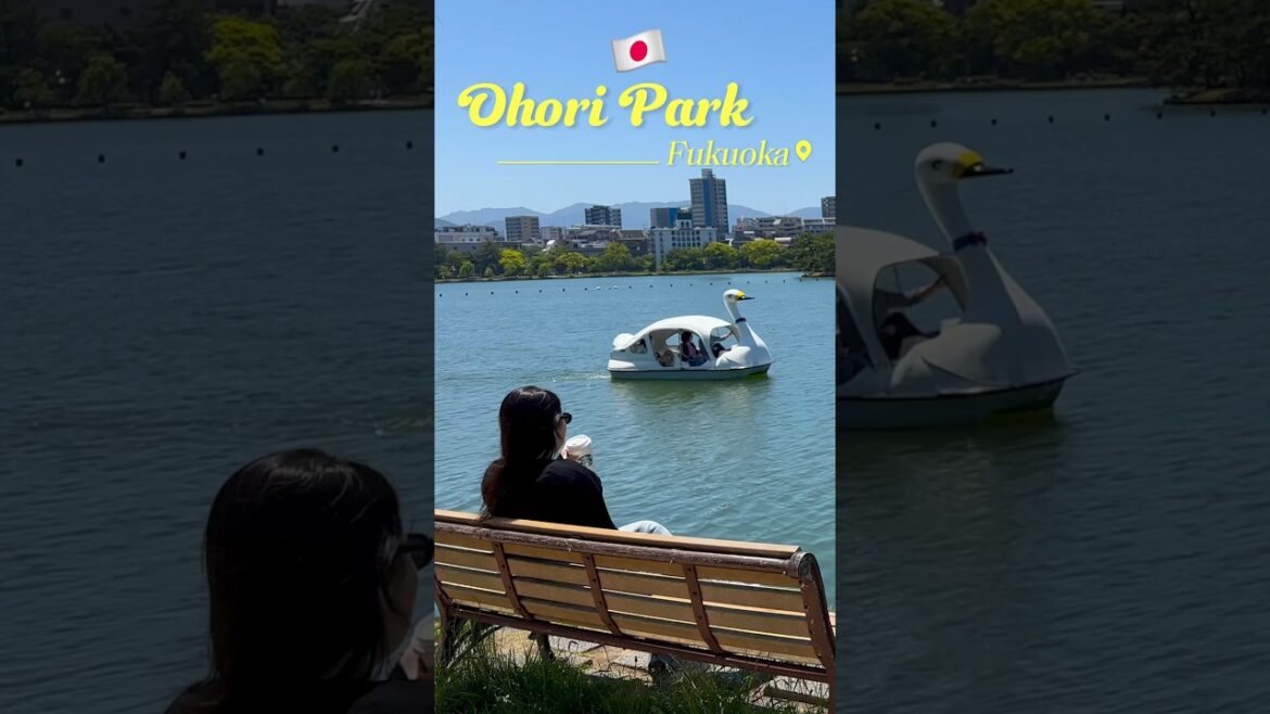 Why Ohori Park Is So Popular In Fukuoka, Japan