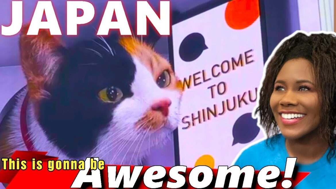 Must-See Moments from Our Japan Vacation! Must-See Moments from Our Japan Vacation!