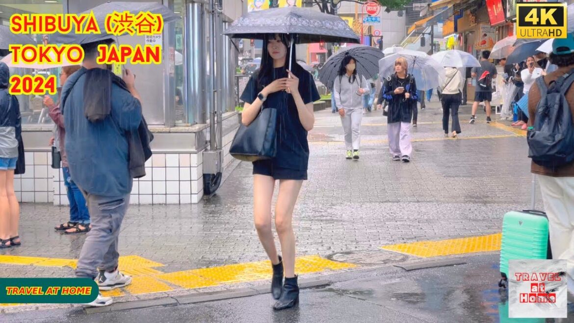 4k hdr japan travel 2024 l Rainy day Walk in Shibuya (渋谷) Tokyo | Relaxing Natural City ambience 4k hdr japan travel 2024 l Rainy day Walk in Shibuya (渋谷) Tokyo | Relaxing Natural City ambience