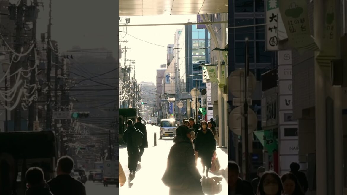 the Street of Sendai