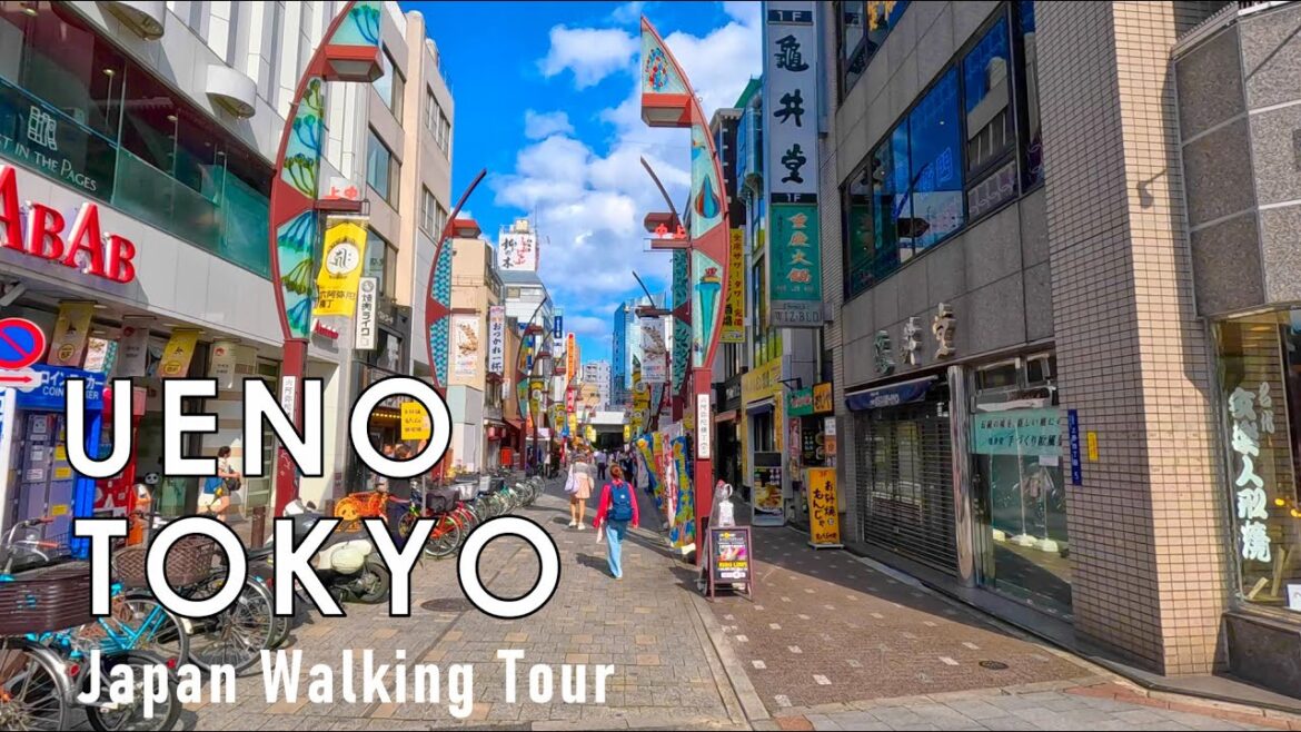 Japan walking tour in Tokyo Ueno 4K 60fps