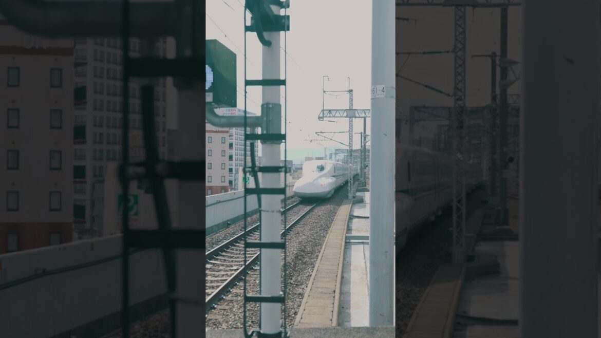 Japan Tour || Trip to Japan || Japan Highlights || Highlights of Japan || Japan Cherry Blossom Japan Tour || Trip to Japan || Japan Highlights || Highlights of Japan || Japan Cherry Blossom