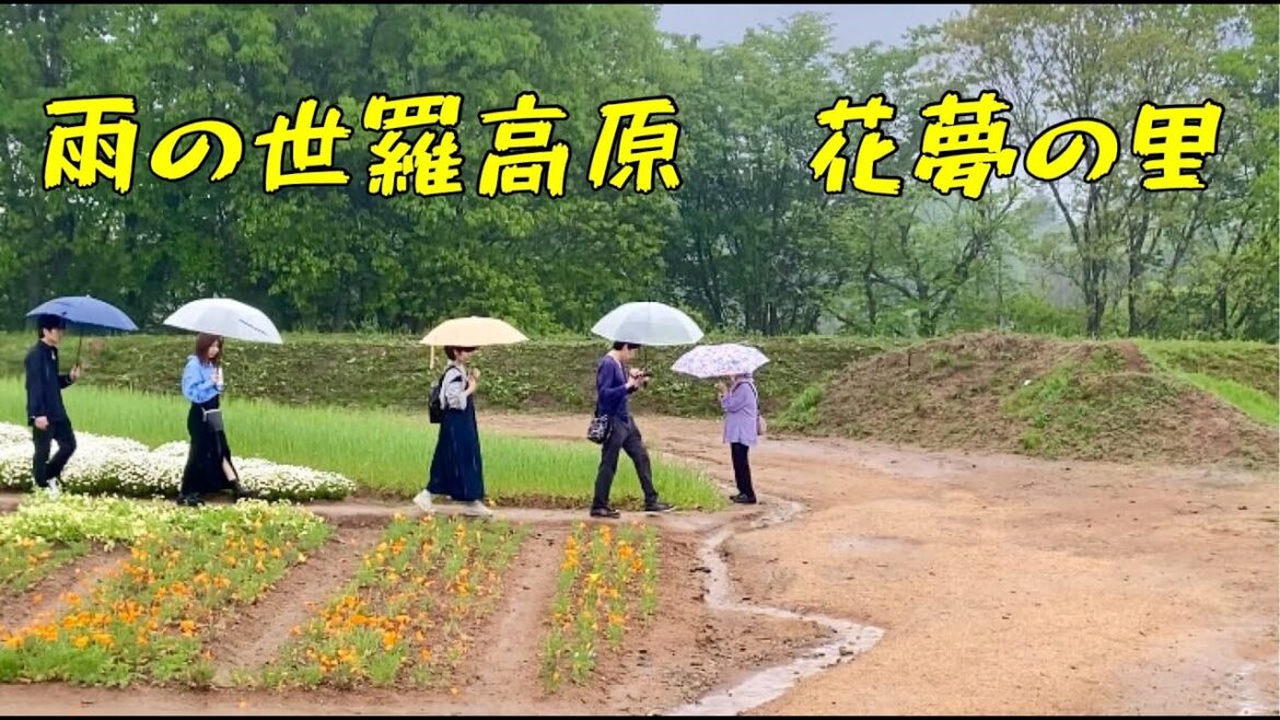 Beautiful Flower Village at Sera Highland, Hiroshima 広島世羅高原花夢の里