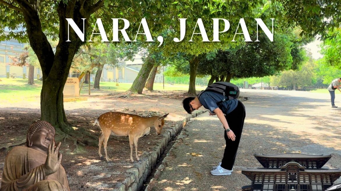 Japan Travel Vlog | A Day Trip to Nara from Osaka Japan Travel Vlog | A Day Trip to Nara from Osaka