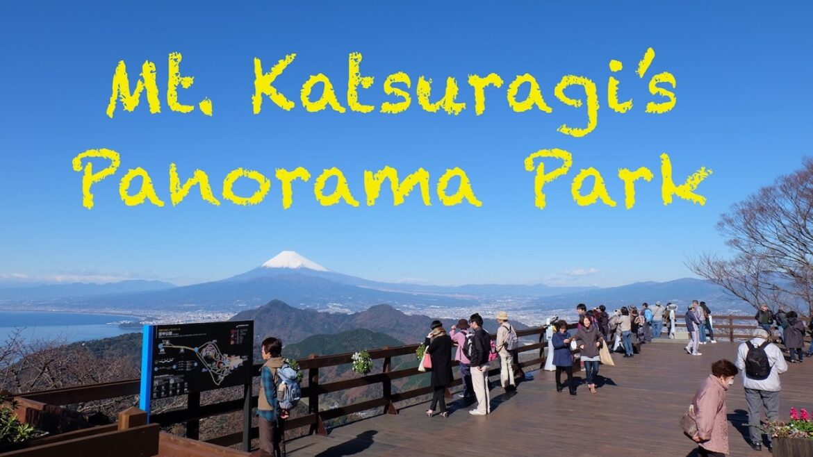 Panorama Park in IzuNagaoka Panorama Park in IzuNagaoka