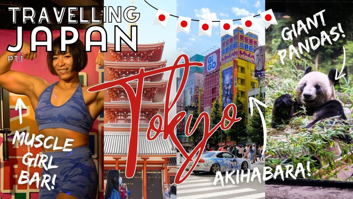 Travelling Japan (pt.I) | TOKYO IN 6 DAYS (Full Itinerary, Top Tips & Fun Facts!)