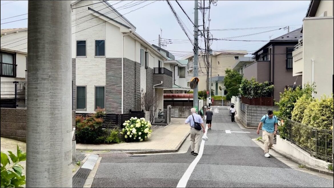 Tokyo Residential Walking Tour from Nishi-Eifuku Station to Sakurajosui Station #4k #japan