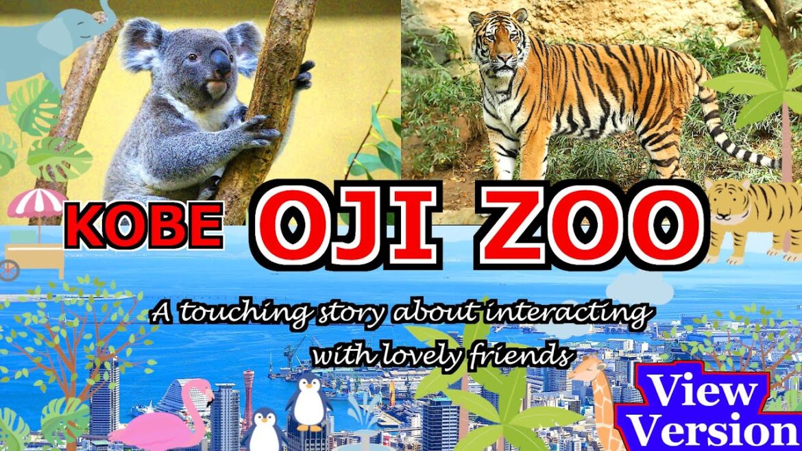 【Kobe OJI ZOO】《View Version》Popular zoo in Kansai. Lovely cute animals. [funny videos osaka travel]
