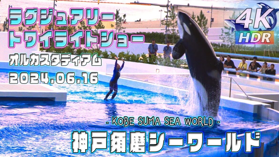 【4K HDR】夕暮れ時の贅沢な時間!6月16日シャチパフォーマンス – 神戸須磨シーワールド  オルカスタディアム – KOBE SUMA SEA WORLD – スマシー VLOG 06 【4K HDR】夕暮れ時の贅沢な時間!6月16日シャチパフォーマンス - 神戸須磨シーワールド  オルカスタディアム - KOBE SUMA SEA WORLD - スマシー VLOG 06