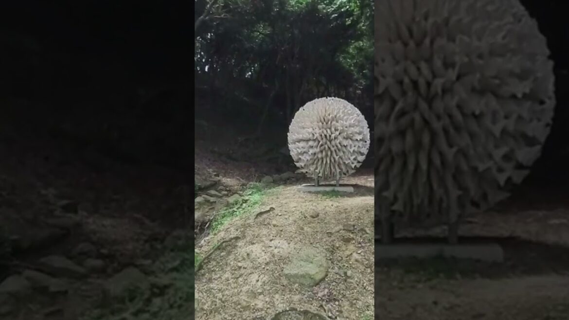 Prefecture Wakayama Japan Western Pacific Ocean Tomogashima Kada Asia GoogleEarth GoogleMaps #google