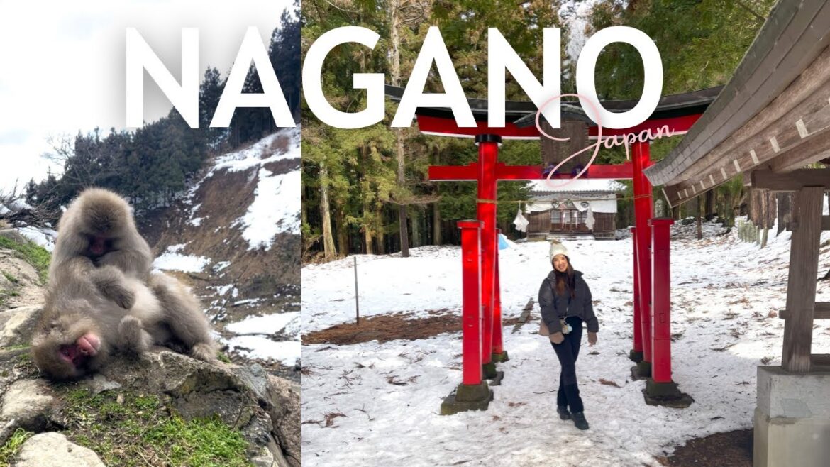 nagano, japan vlog π jigokudani snow monkey park, exploring yudanaka onsen, spirited away adventure nagano, japan vlog π jigokudani snow monkey park, exploring yudanaka onsen, spirited away adventure