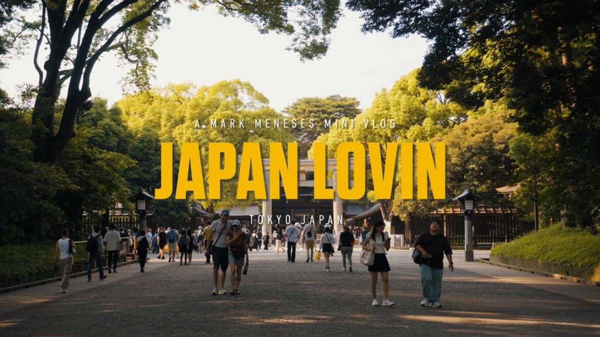 Japan Lovin! (A Japan Travel Mini-Vlog 2023)