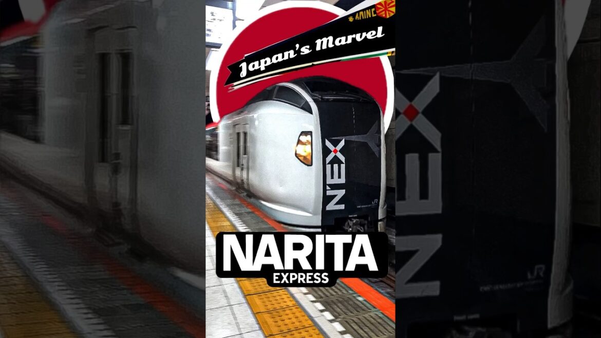 🇯🇵😱Japan’s Marvellous Narita Express #tokyo #shorts