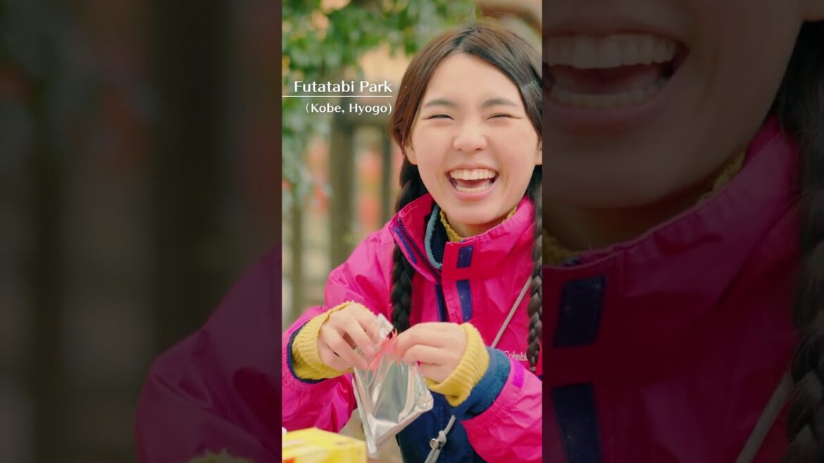 【瀬戸内海国立公園】山の彩りに誘われて Setonaikai National Park _ Be enchanted by the colors of the mountains 【瀬戸内海国立公園】山の彩りに誘われて Setonaikai National Park _ Be enchanted by the colors of the mountains