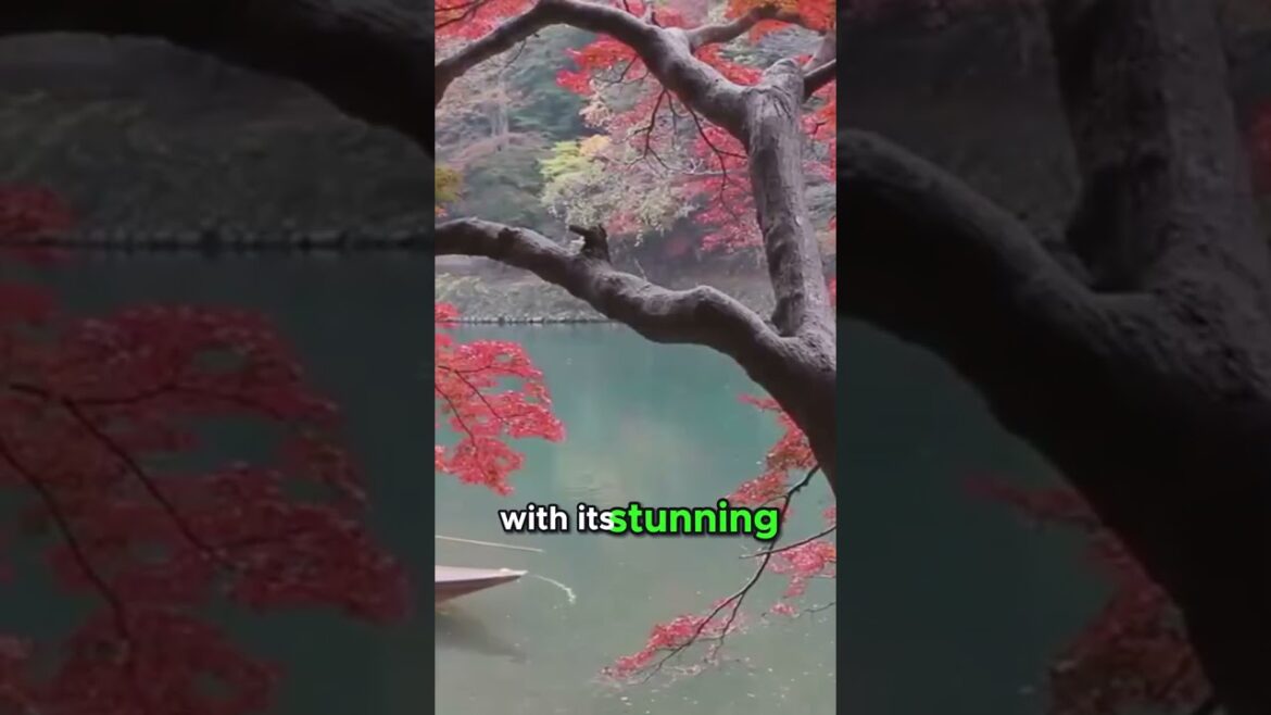 17 Affordable Gems: The Magic of Kyoto