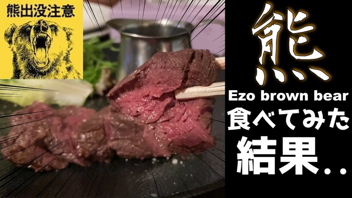 熊を食べてみた結果…北海道の深刻なヒグマ問題とは!? 熊を食べてみた結果...北海道の深刻なヒグマ問題とは!?