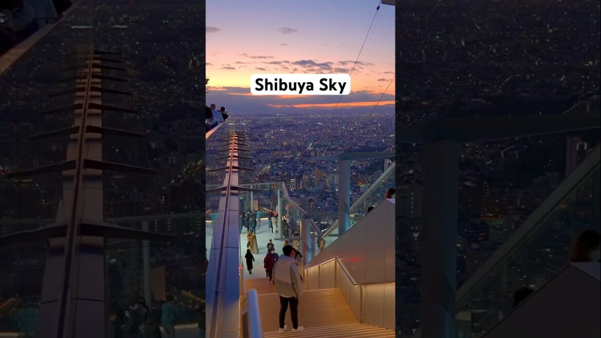 渋谷スカイ/ Shibuya Sky, Tokyo Japan #shorts #shortsfeed #travel #japan #shortsvideo #short #shortsviral