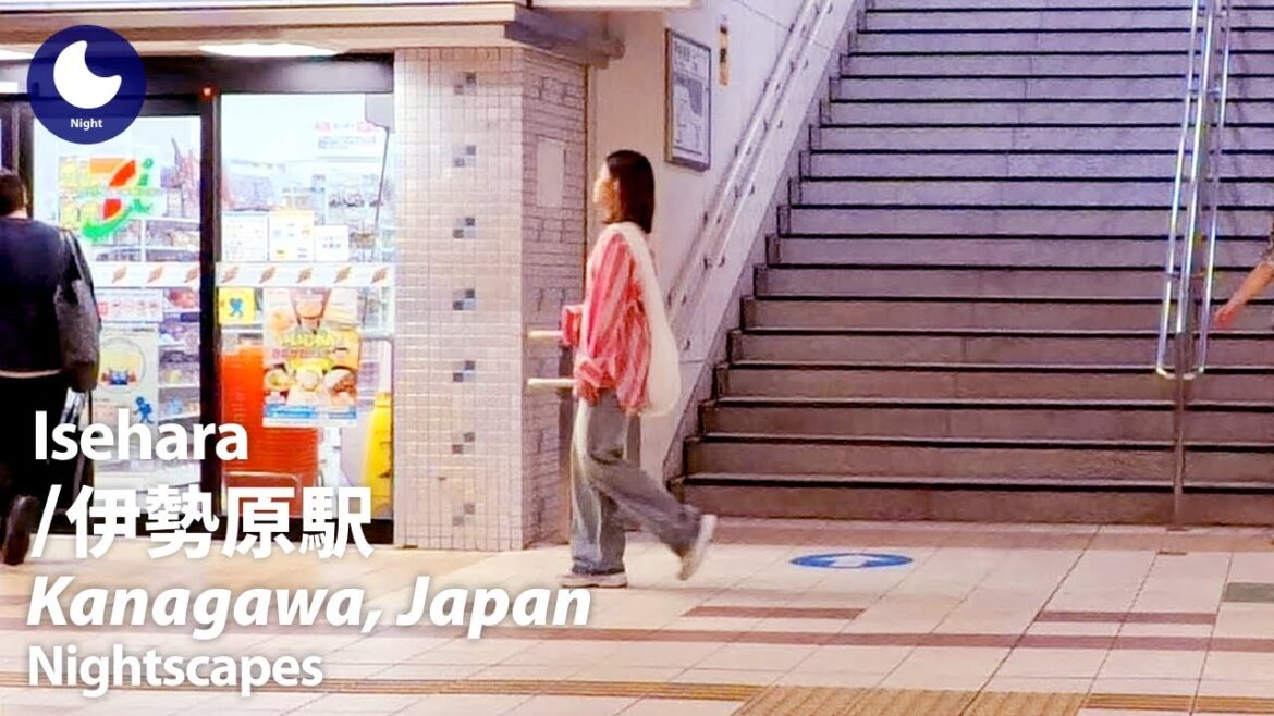 ⁴ᴷ Kanagawa: Isehara Station (神奈川県: 伊勢原駅) - Japan Walking Tour (June, 2024)