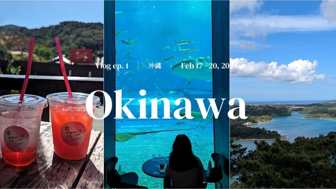 Okinawa in 3 days | Churaumi Aquarium, Okinawa Soba, Yanbaru NP | 沖縄 | Japan Travel Vlog EP. 1