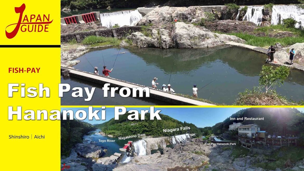 Fish Pay from Hananoki Park Fish Pay from Hananoki Park