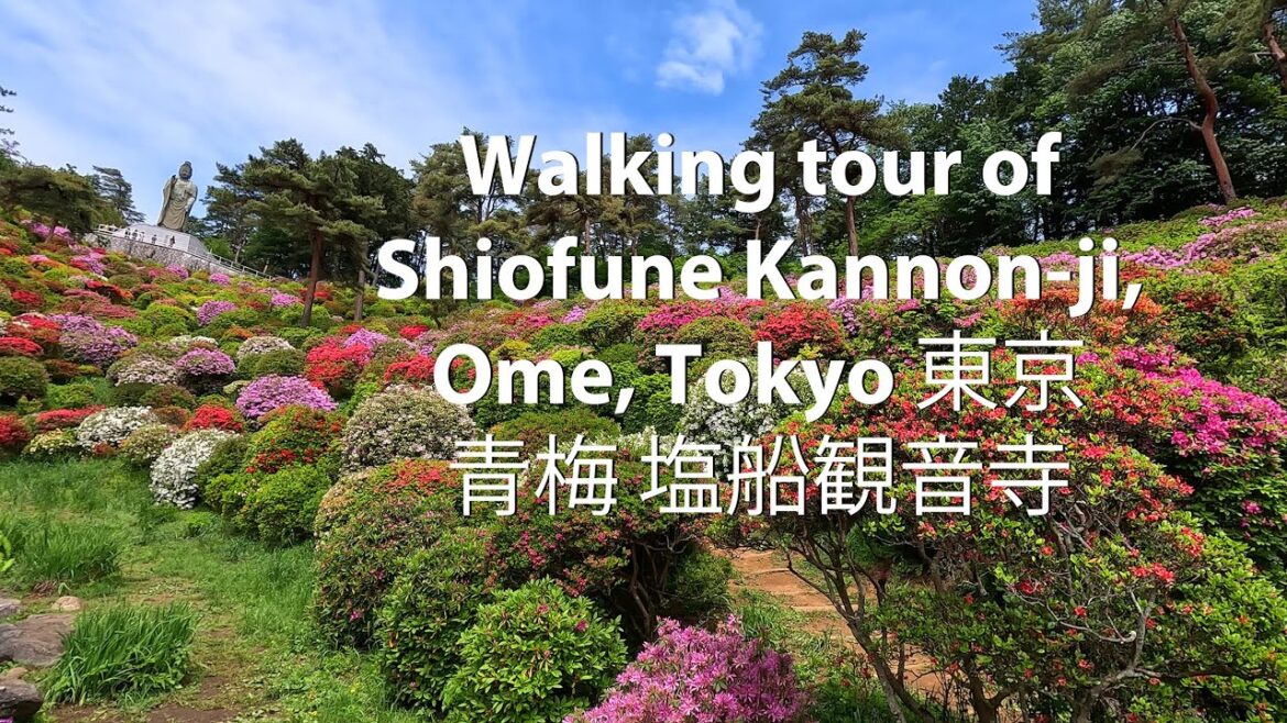 Walking tour of Shiofune Kannon-ji, Ome, Tokyo 東京 青梅 塩船観音寺