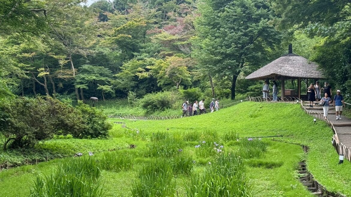 Tokyo Live🇯🇵Meiji Jingu Inner Garden🇯🇵Tokyo Japan Tokyo Live🇯🇵Meiji Jingu Inner Garden🇯🇵Tokyo Japan